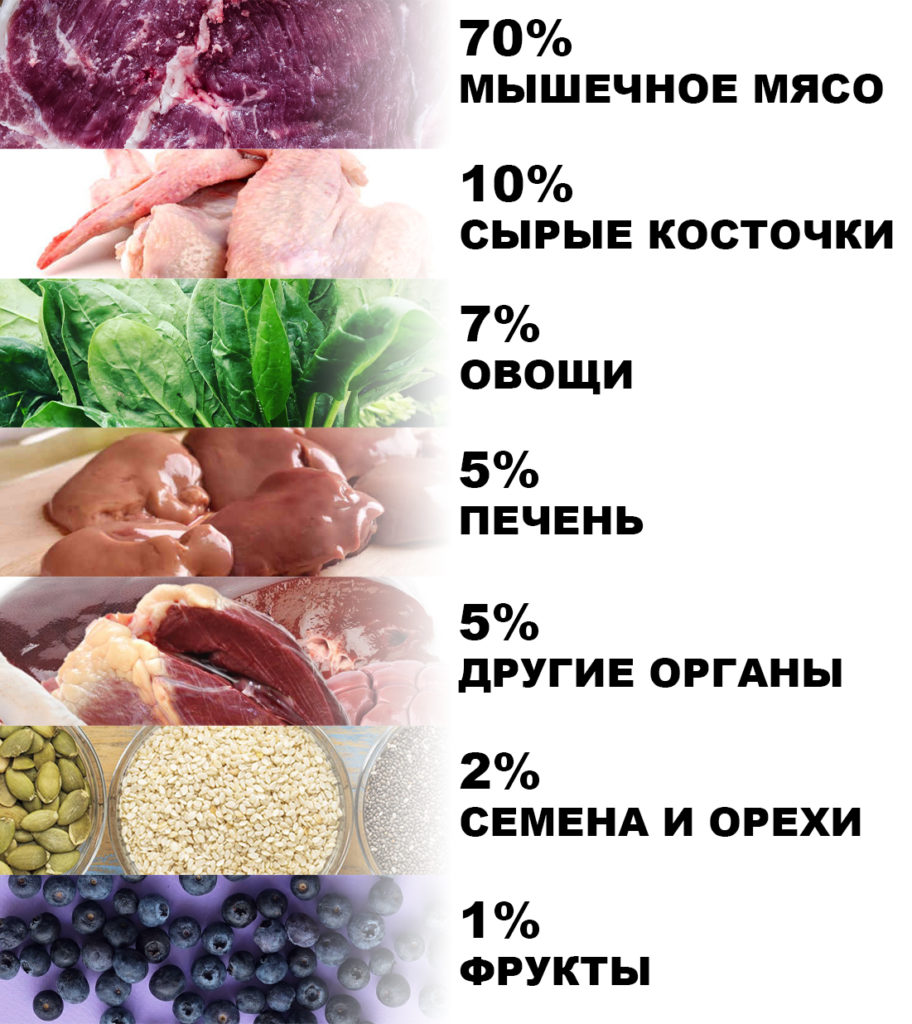 Здоровый рацион собаки состоит на 70% из мяса, на 10% из сырых косточек, на 7% из овощей, на 5% из печени, на 5% из других органов, на 2% из семян и орехов и на 1% из фруктов.