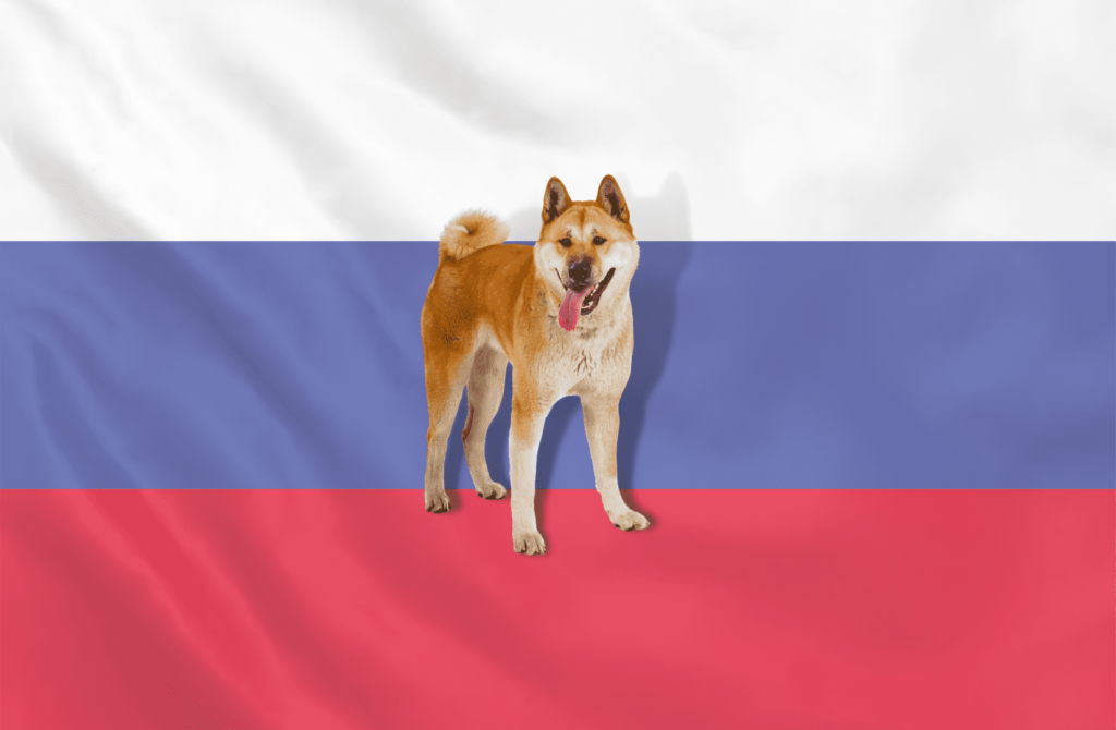 Собаки президента Путина - Блог SUPERPET