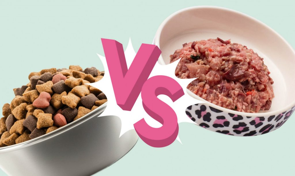Сухой корм vs B.A.R.F. (биологически соответствующее питание): чем кормить собаку - Блог SUPERPET