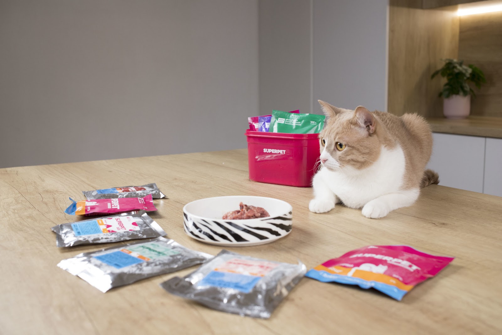 Полосатая кошка ест из миски с леопардовым узором, рядом коробка SUPERPET