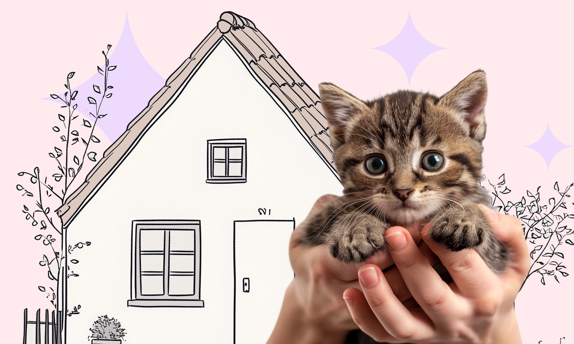 Как приучить котёнка к новому дому - Блог SUPERPET