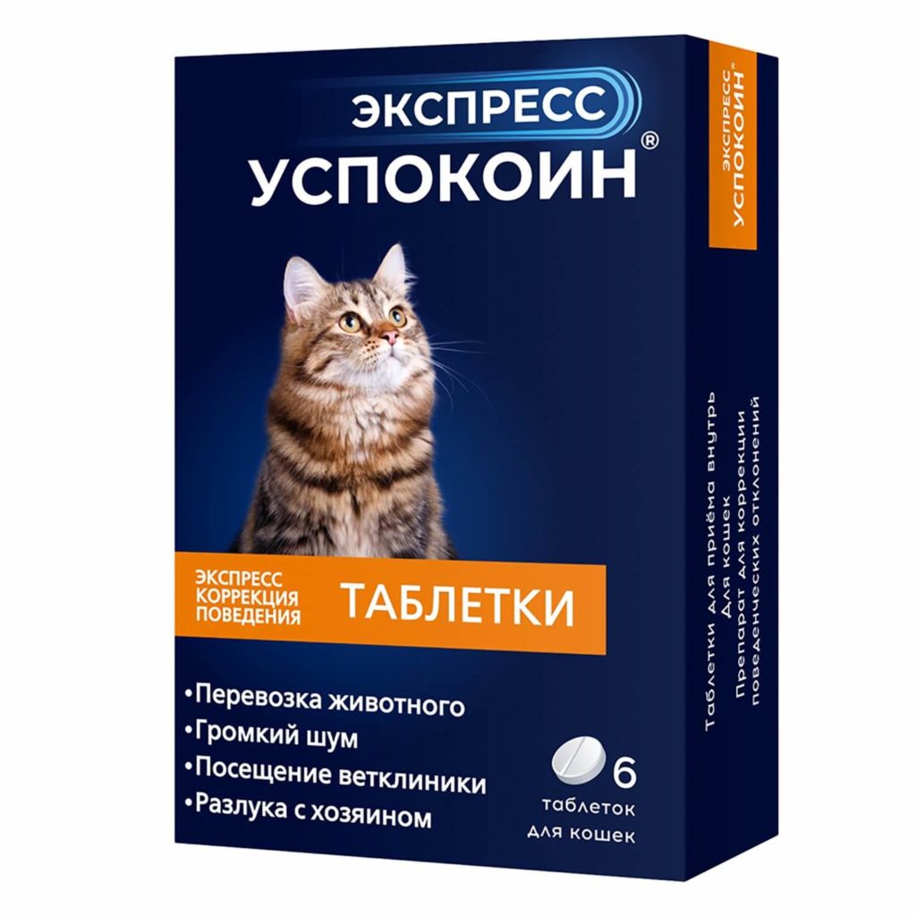 01 1 Успокоительный препарат для кошки: показания к приему успокоительных средств для кошек - Блог SUPERPET