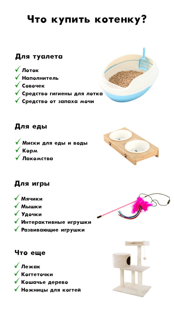 03 Что нужно котёнку: список вещей - Блог SUPERPET