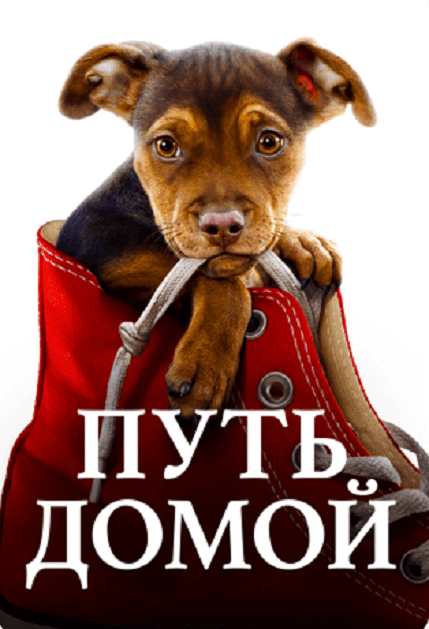1200x600wf1 Лучшие фильмы про собак для приятного семейного просмотра - Блог SUPERPET