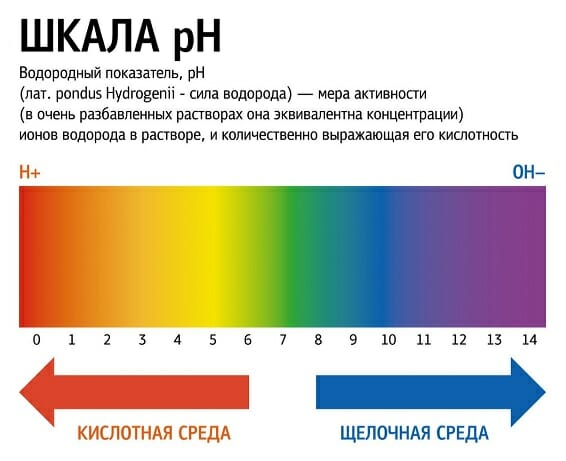 3.1 О кислотности желудочного сока, переваривании костей и сальмонелле - Блог SUPERPET
