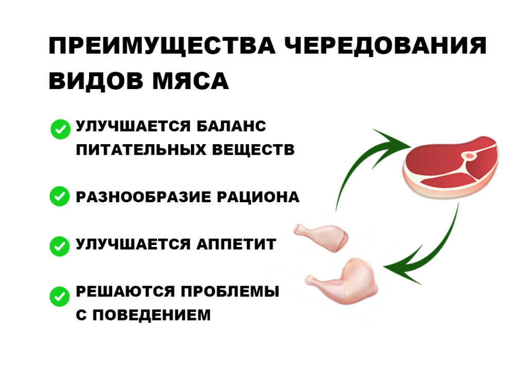 balance02 Преимущества чередования видов мяса коротко