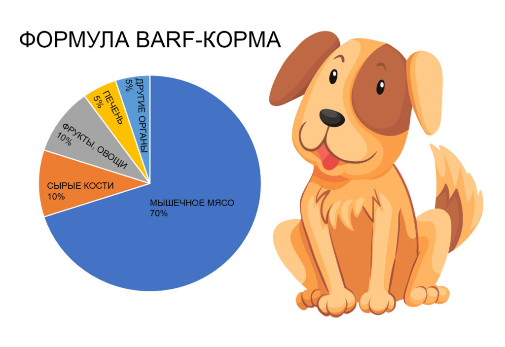 barf 1024x704 Что такое система питания B.A.R.F. (биологически соответствующее питание) для кошек и собак — рассказывает ветеринар - Блог SUPERPET