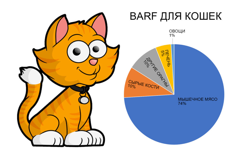 barfcat 1024x699 Что такое система питания B.A.R.F. (биологически соответствующее питание) для кошек и собак — рассказывает ветеринар - Блог SUPERPET