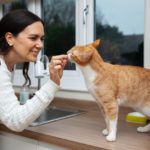 Витамины для кошек: какие и сколько нужно давать - Блог SUPERPET