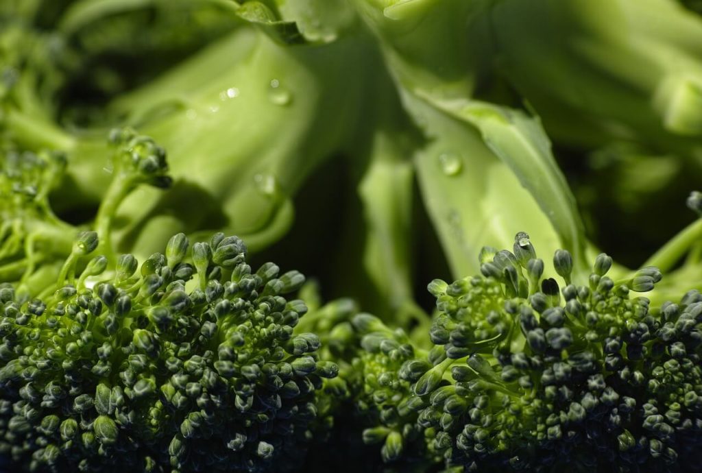 broccoli 1792236 1280 1 Какие овощи и фрукты можно кошкам. В каком виде и сколько. С кормом или отдельно. Что полезно, а что нет. - Блог SUPERPET