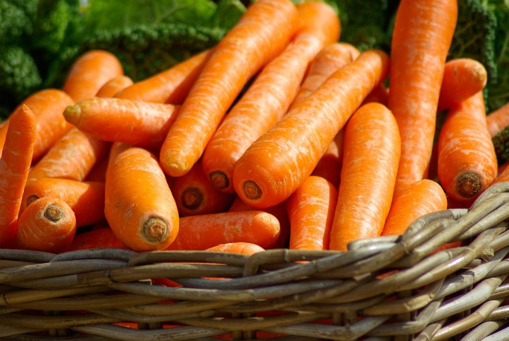 carrots 673184 1280 Чем кормить канадских сфинксов в домашних условиях: натуральный или сухой корм. Какие добавки нужны. Что нельзя. - Блог SUPERPET