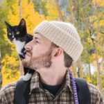 Стерилизация и кастрация кошки: кому нужнее — кошке или хозяину - Блог SUPERPET