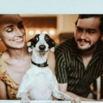 Лучшие фильмы про собак для приятного семейного просмотра - Блог SUPERPET