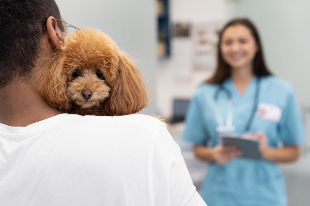 close up owner holding cute dog krupnyj B.A.R.F. (биологически соответствующее питание) рацион — почему ветеринарный врач его не назначает - Блог SUPERPET