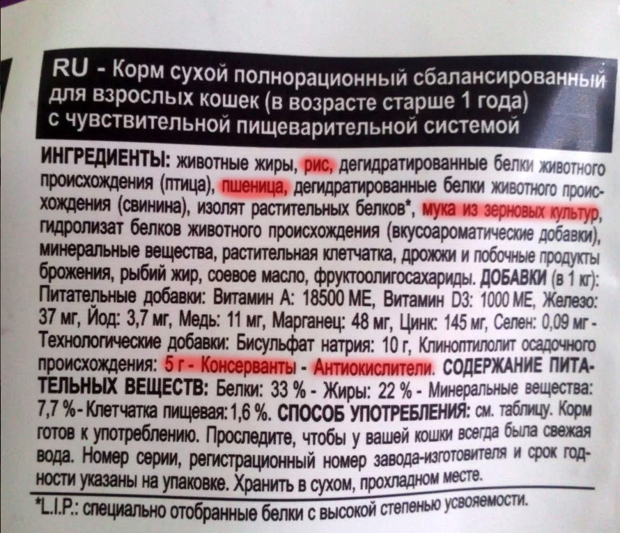 Диабет у кошек: причины и лечение - Блог SUPERPET