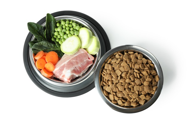concept of organic pet food isolated on white srednij B.A.R.F. (биологически соответствующее питание) рацион — почему ветеринарный врач его не назначает - Блог SUPERPET