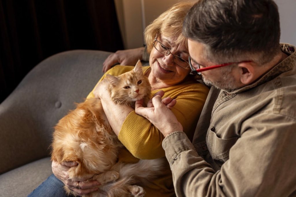 elderly people with cat pet krupnyj razmer Преимущества и недостатки сырого питания для кошек и собак - Блог SUPERPET