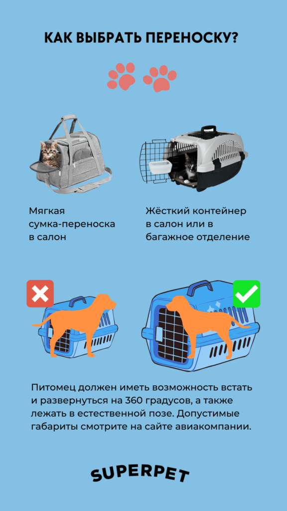 kak vybrat perenosku 3 Правила перевозки кошек и собак в самолете - Блог SUPERPET
