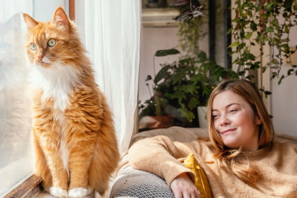 medium shot woman looking at cat krupnyj razmer Сбалансированный рацион для кошки - Блог SUPERPET