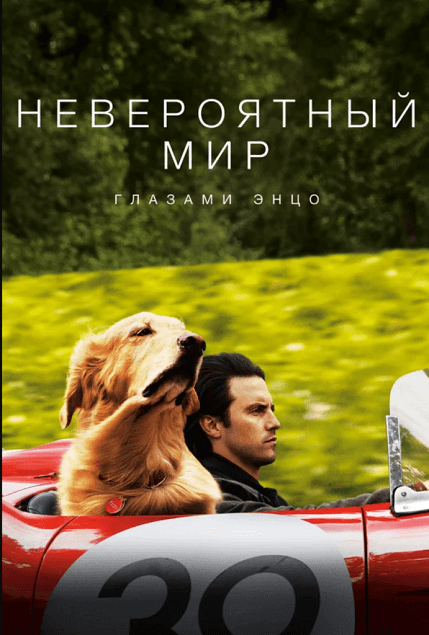 neveroyatnyy mir glazami entso 691x10241 1 Лучшие фильмы про собак для приятного семейного просмотра - Блог SUPERPET