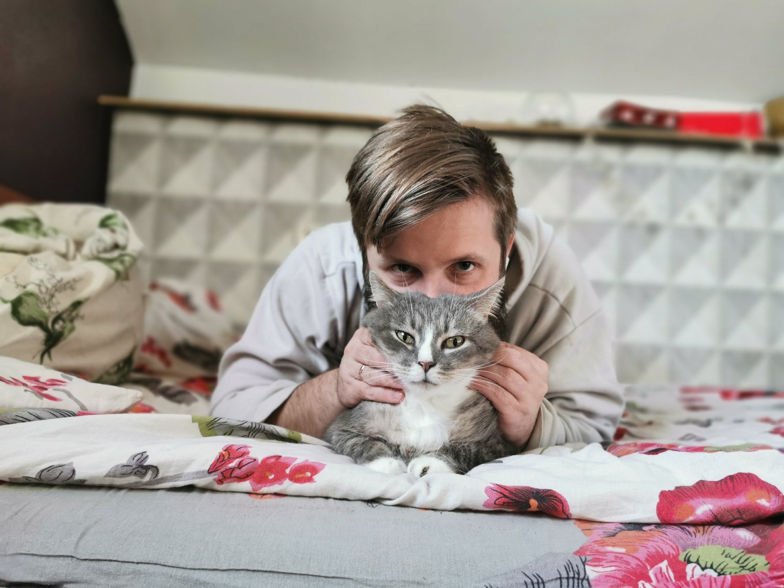Аллергия на кошек – что вызывает и как лечить - Блог SUPERPET