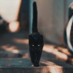 Что делать, если кошка просится на улицу - Блог SUPERPET