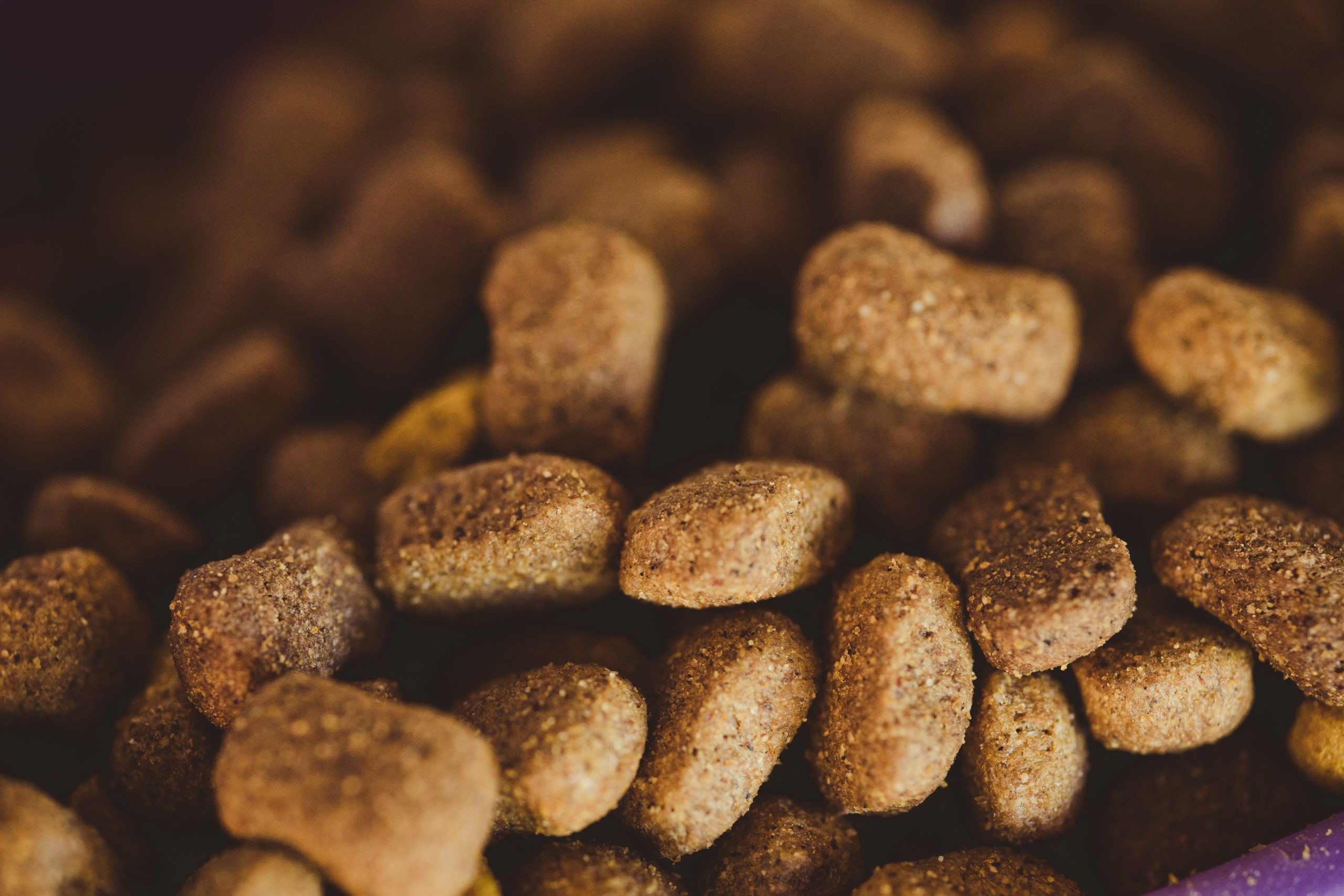 pexels rafael rodrigues 18764141 1 scaled Как правильно кормить кошку - Блог SUPERPET