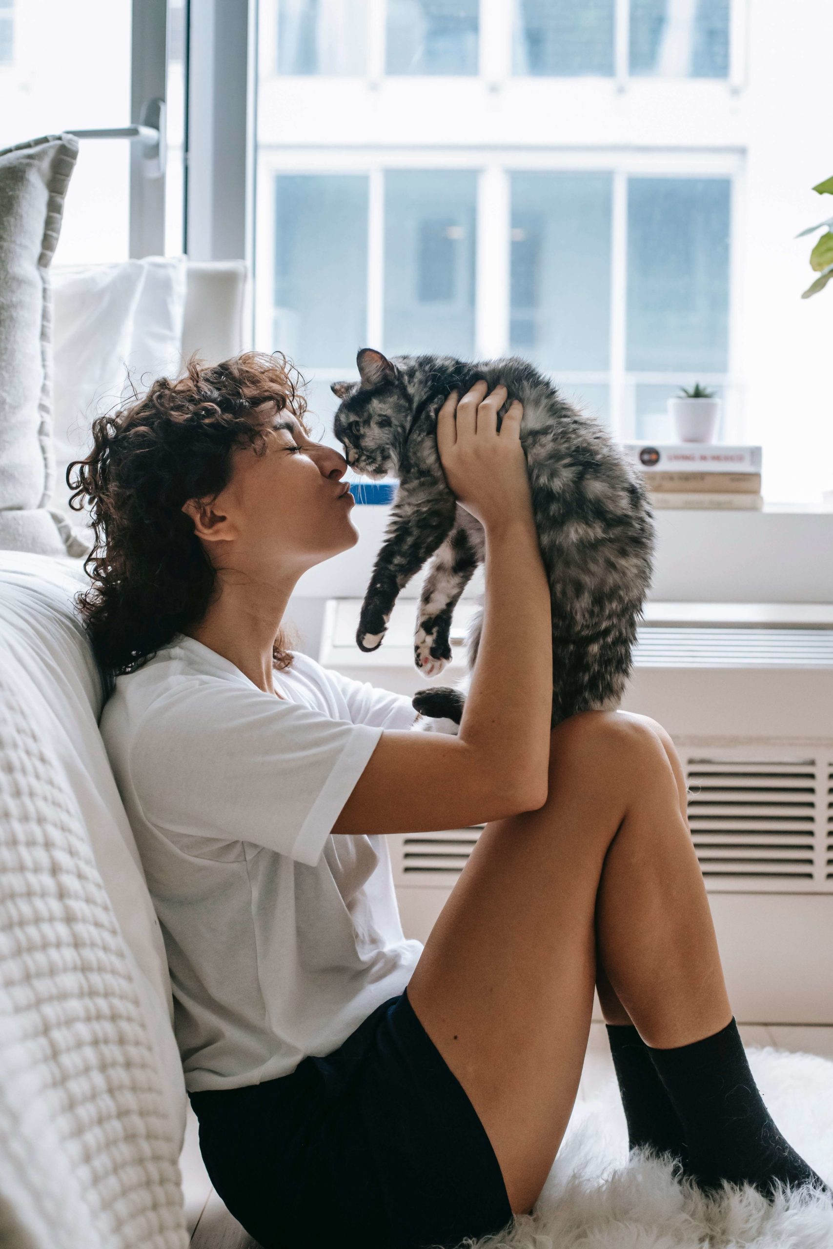 Почему кошки мурлыкают - Блог SUPERPET