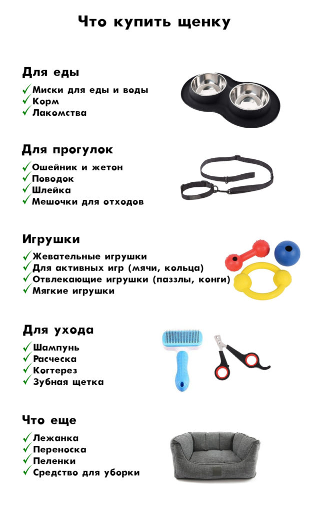 puppylist Что нужно для щенка: список вещей - Блог SUPERPET