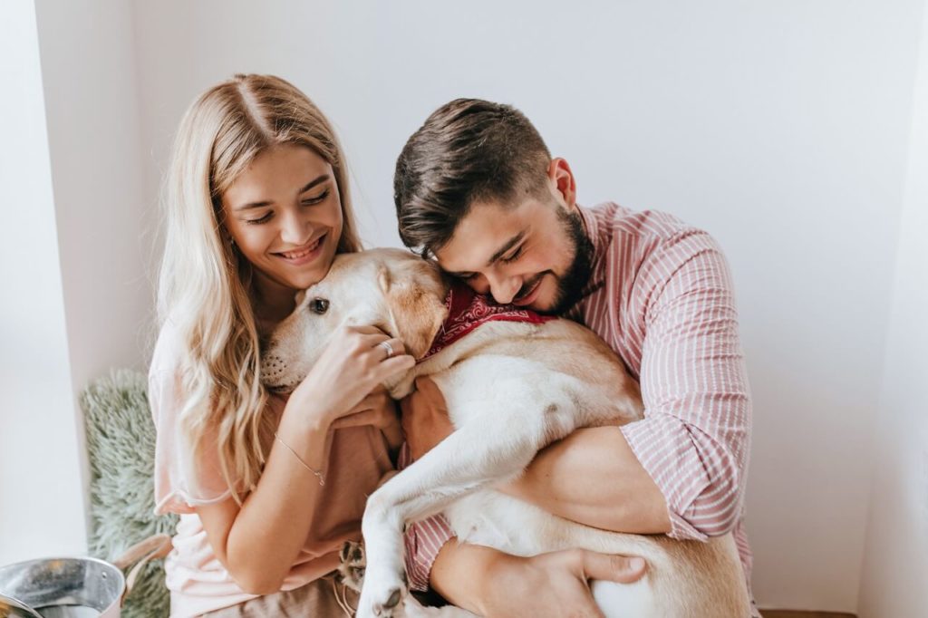 shutterstock 13693315701 Почему собака воет: распространенные причины - Блог SUPERPET
