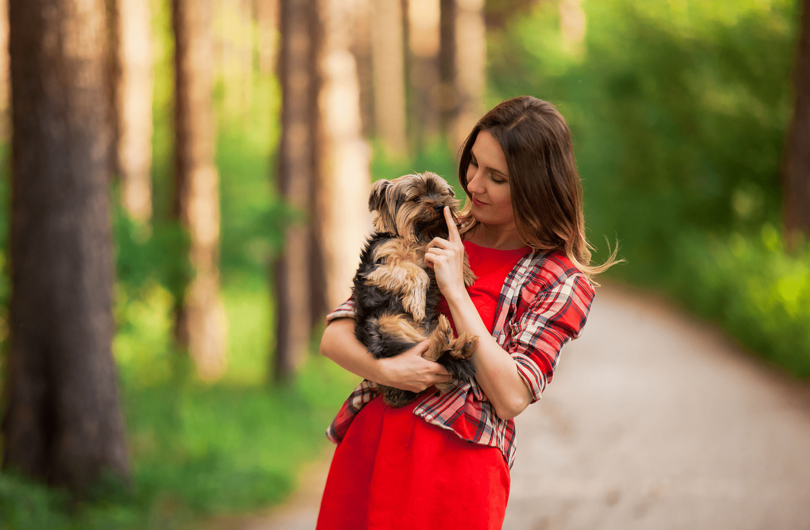 Самые маленькие породы собак - Блог SUPERPET