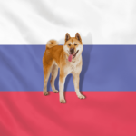 Собаки президента Путина - Блог SUPERPET
