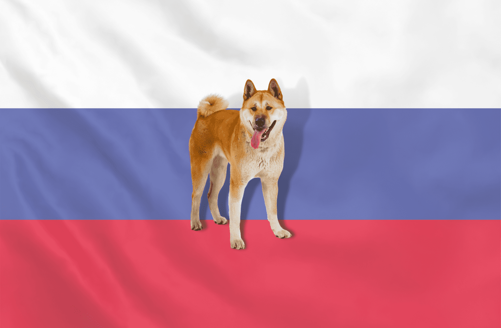 Собаки президента Путина - Блог SUPERPET