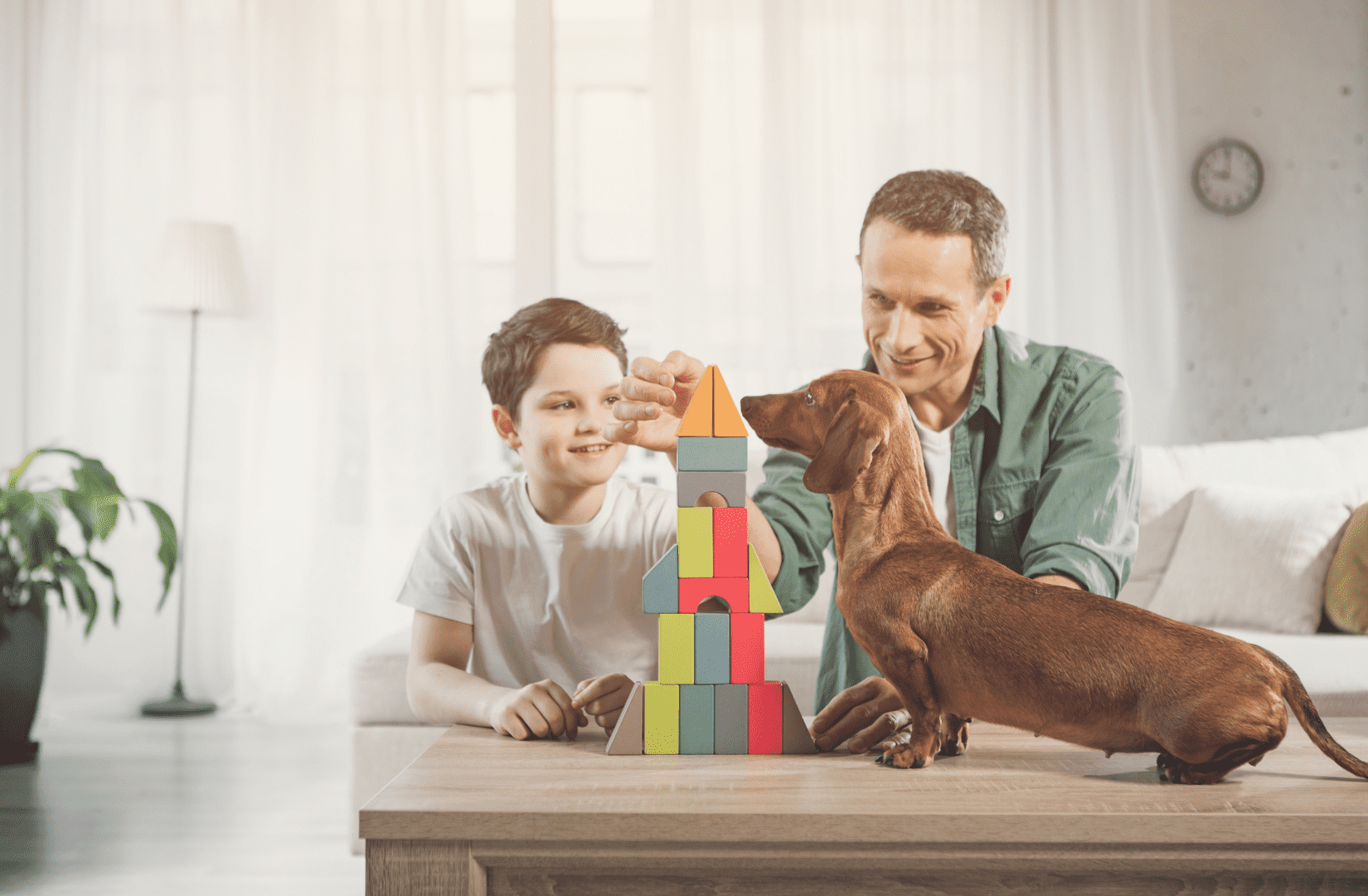 Какие породы собак подходят для квартиры - Блог SUPERPET