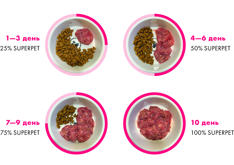 superpet feeding guide visual Схема перехода на натуральный корм на примере SUPERPET