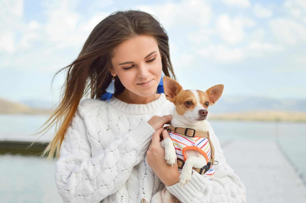 tamara bellis 8fyvkl0zhqe unsplash 1 Развитие щенка от рождения до года - Блог SUPERPET