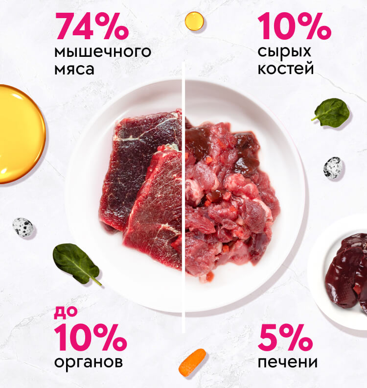 tarelka mob Как правильно кормить кошку - Блог SUPERPET
