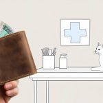 Ветеринарные клиники: государственные и частные. В чём отличие и как сэкономить на обслуживании - Блог SUPERPET