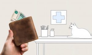 Ветеринарные клиники: государственные и частные. В чём отличие и как сэкономить на обслуживании - Блог SUPERPET