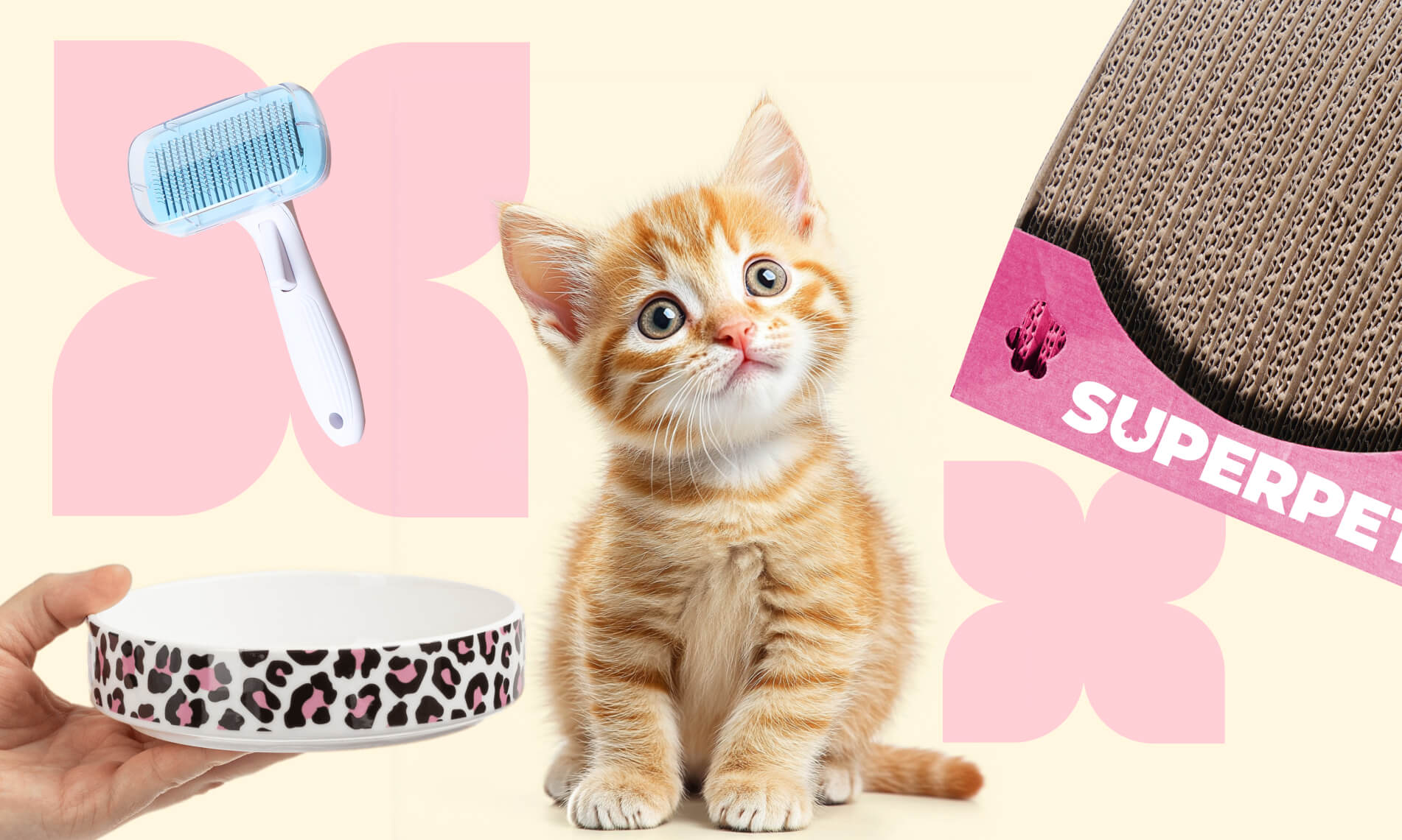 Что нужно котёнку: список вещей - Блог SUPERPET