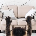 Как отучить котёнка точить когти о мебель - Блог SUPERPET