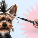 Как подстричь собаку в домашних условиях - Блог SUPERPET