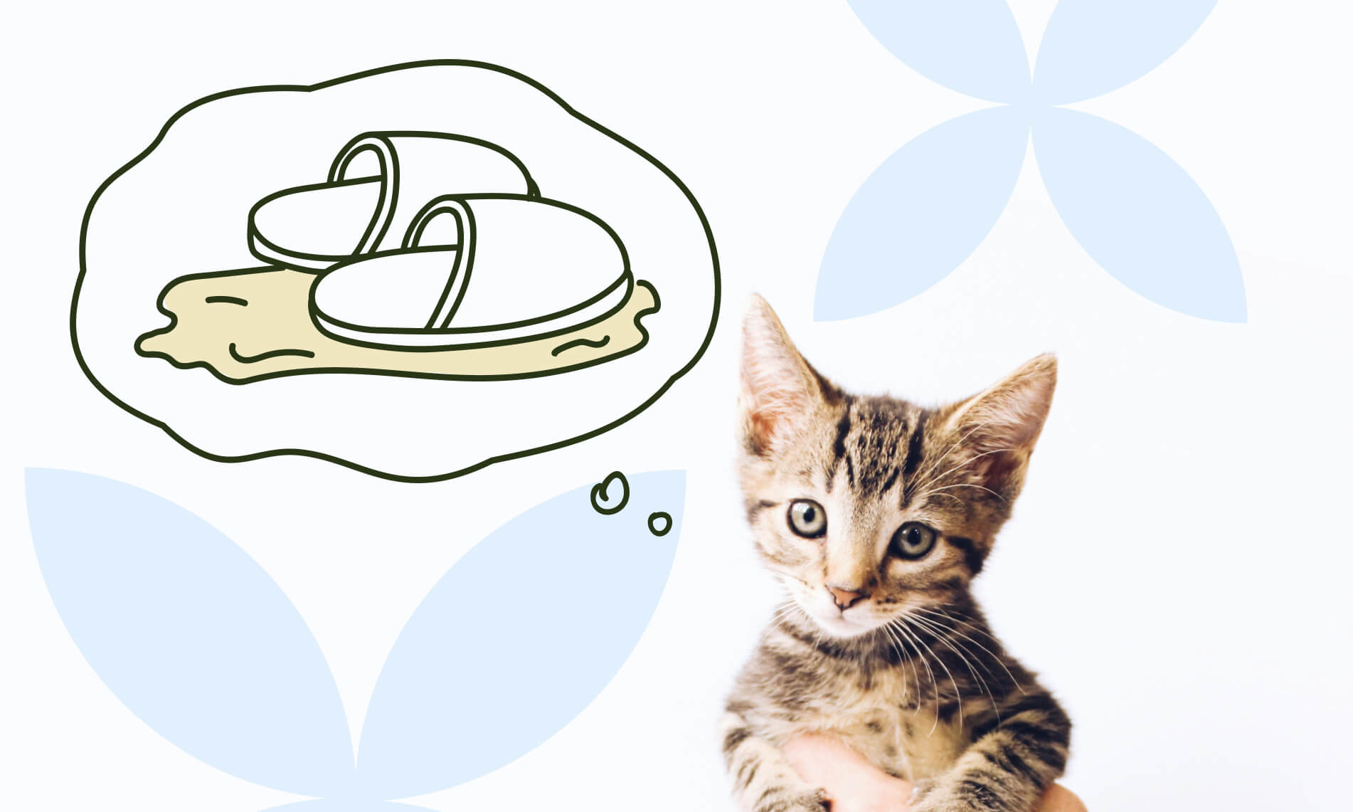 Как приучить котёнка к лотку - Блог SUPERPET