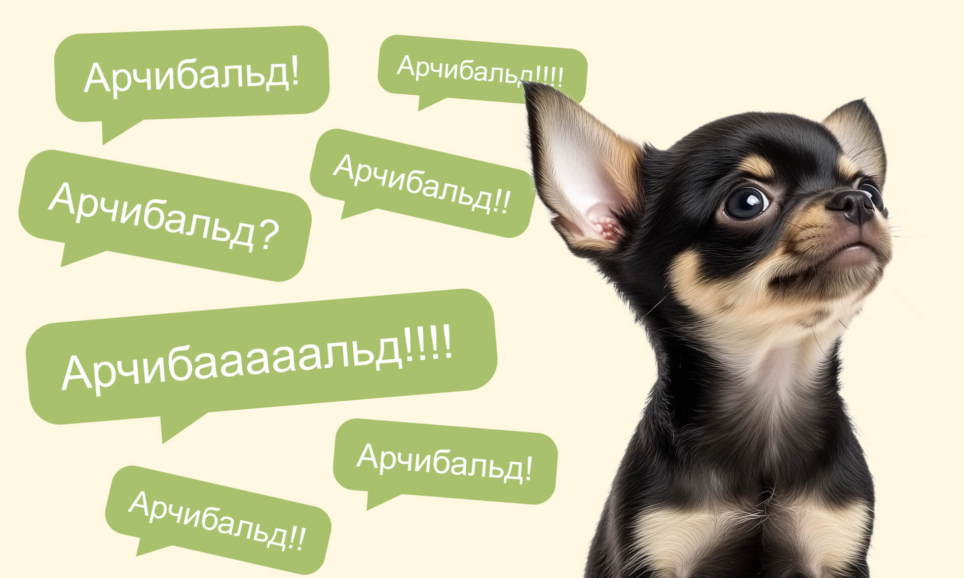 Как назвать щенка и приучить его к имени - Блог SUPERPET