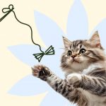 Как сделать игрушку для кошек своими руками - Блог SUPERPET