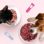 Какие анализы сдать на натуральном питании - Блог SUPERPET