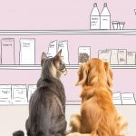 Классы кормов для кошек: как выбрать питание для питомца - Блог SUPERPET