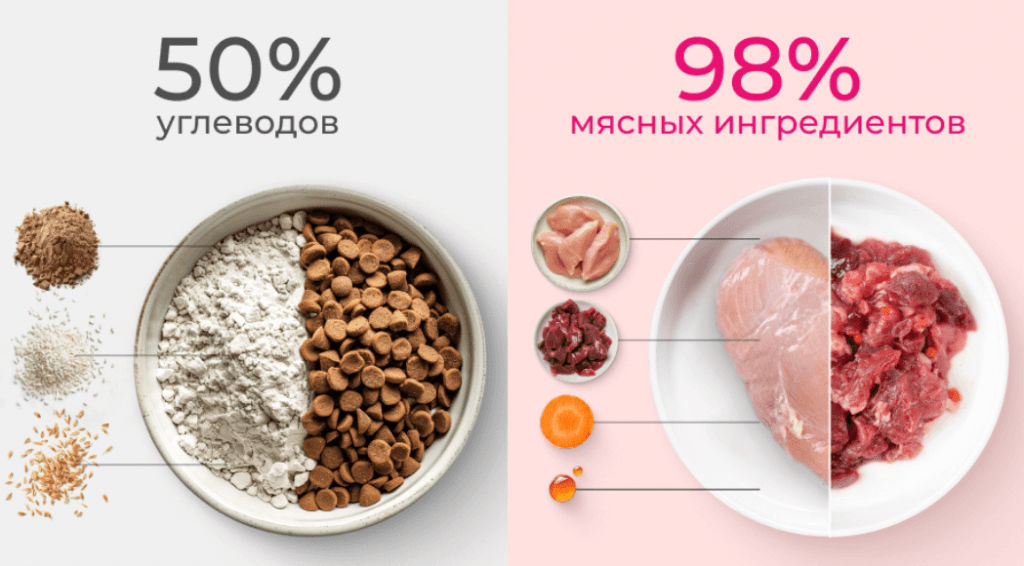 snimok jekrana 2025 02 21 v 10.38.10 Как сухой корм сокращает жизнь вашего питомца - Блог SUPERPET