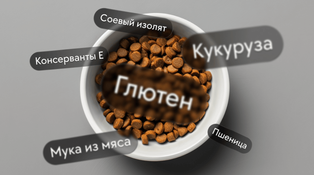 snimok jekrana 2025 02 21 v 10.42.52 Как сухой корм сокращает жизнь вашего питомца - Блог SUPERPET