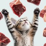 Переводим кошку на натуральный корм за 10 дней — инструкция от ветеринара - Блог SUPERPET